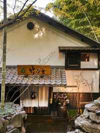 🎋 Luxe Kumamoto Onsen Retreat: Bamboo Bliss & Healing Springs 🌿