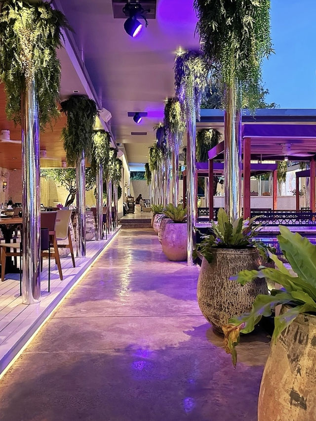 普吉島的雙棕櫚帳篷營地這三個餐廳酒吧超棒~強烈建議不要錯過! 普吉島的雙棕櫚帳篷營地這三個餐廳酒吧超棒~強烈建議不要錯過!