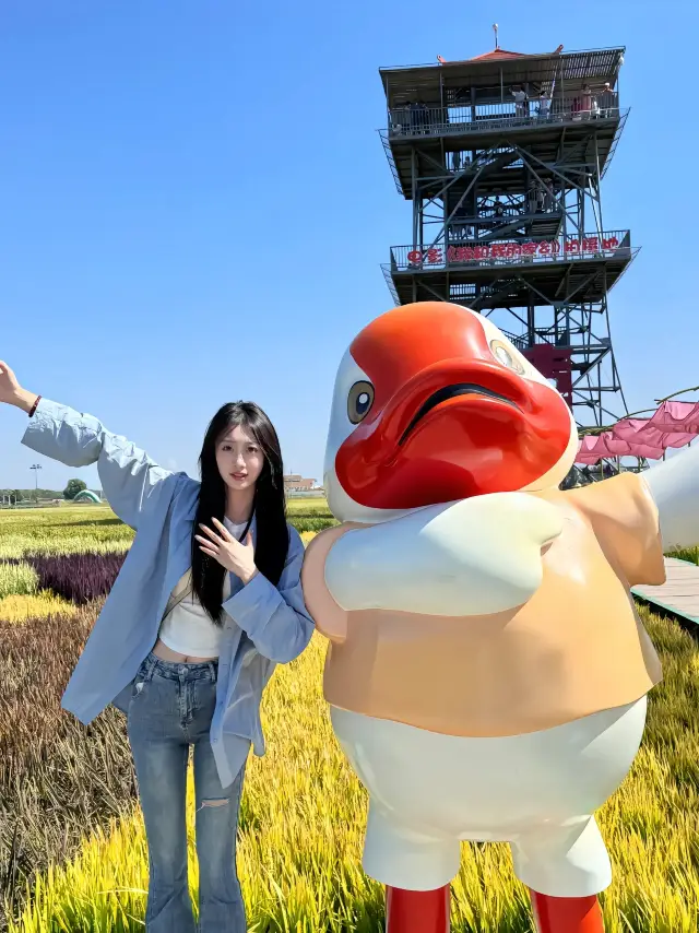 Shenyang's Dream of Rice.