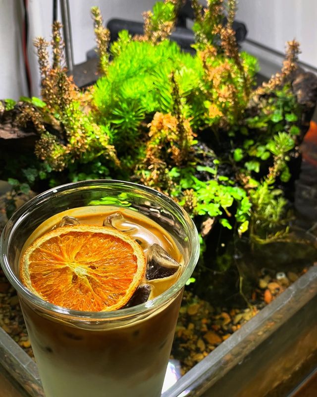 濱江半島|江邊花園咖啡室🪷。