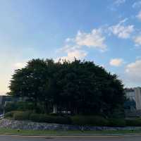 《邂逅首爾悅榕莊，奢享非凡之旅》
