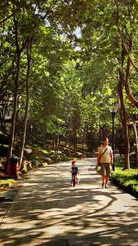 聽講西安豐慶公園錦簇芳菲，打卡過公園"山水綠叢中"才知曉。