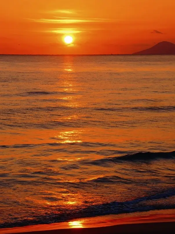 Shizuoka, a small city at the foot of Mount Fuji in Japan, is so much fun!!