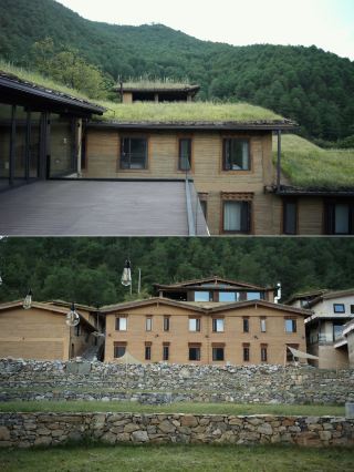 This homestay is warm and inclusive | Not rejecting, but fully accepting is truly pet-friendly. 