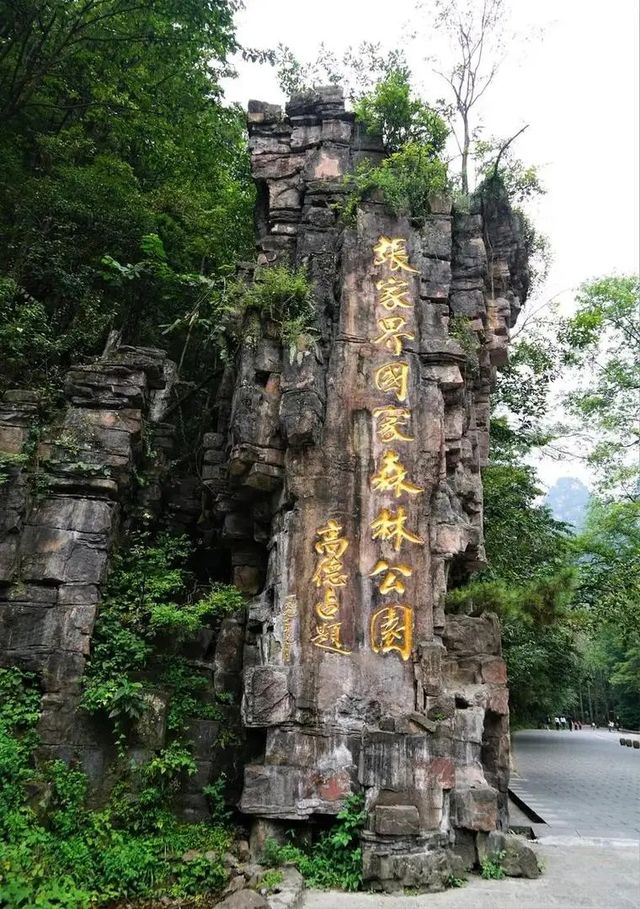 張家界森林公園攻略。