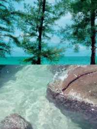 惠州海濱之旅：寧靜與美景的完美邂逅。