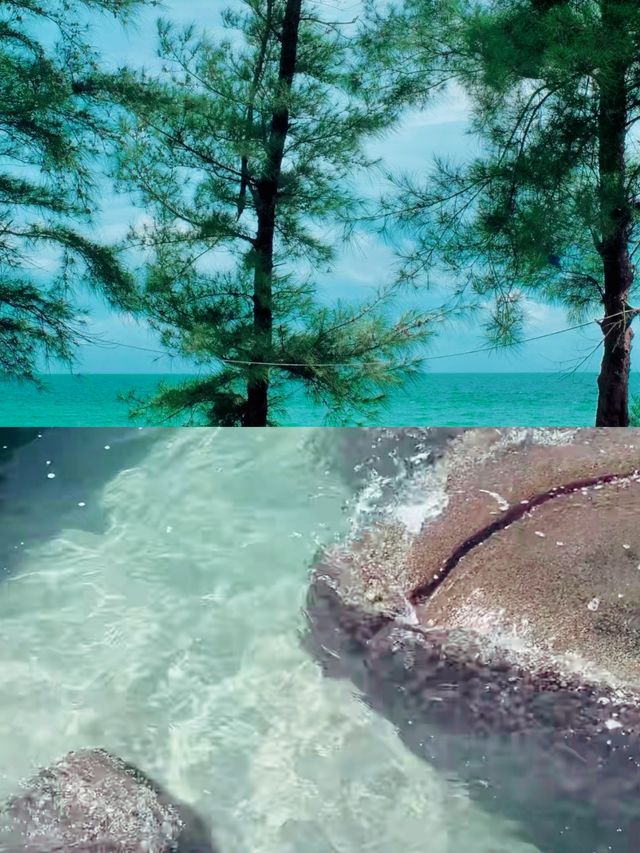 惠州海濱之旅：寧靜與美景的完美邂逅。