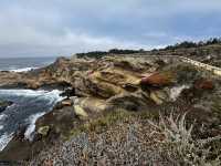 Point Lobos 州保護區。
