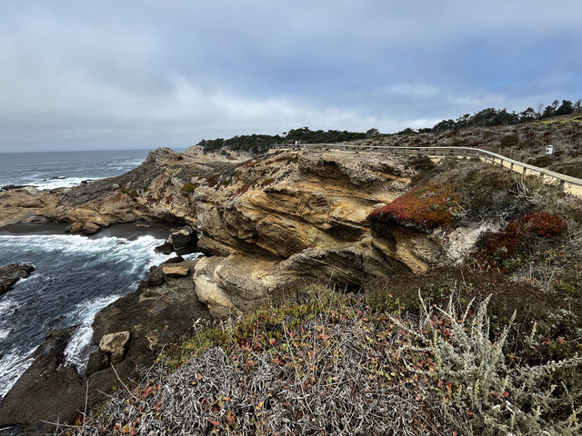 Point Lobos 州保護區。