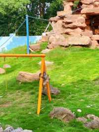 南京達摩主題公園（又稱達摩古洞景區）。