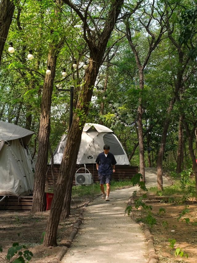 鄭州附近的森林露營地，這份愜意誰能懂？