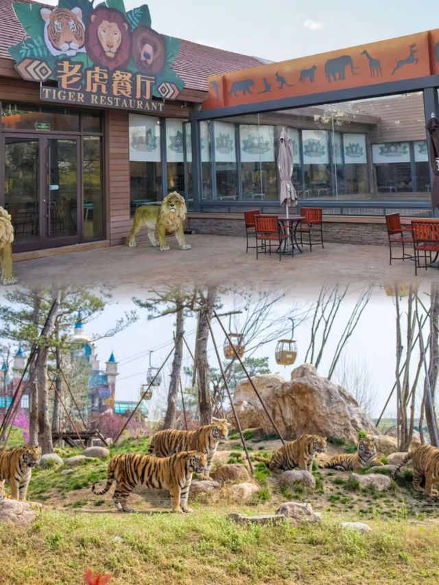 歐樂堡長頸鹿莊園酒店介紹。