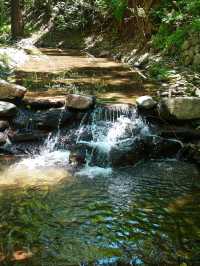 西部長青遊山玩水。