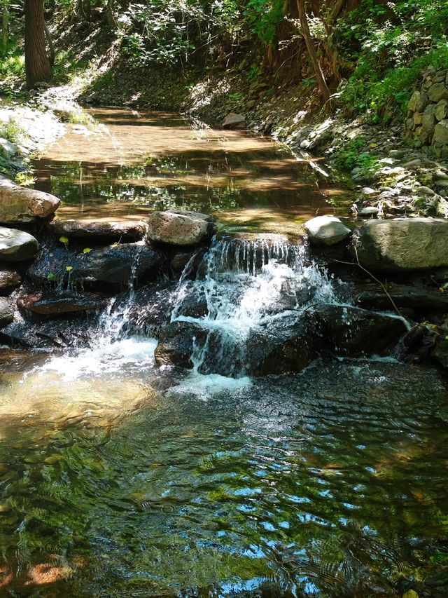 西部長青遊山玩水。