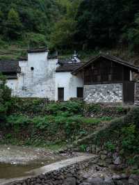 金華山下鮑村 | 世間桃花源，界外烏托邦。