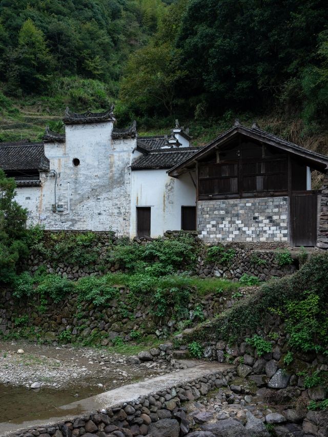 金華山下鮑村 | 世間桃花源，界外烏托邦。
