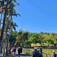 Lianhuashan Park Shenzhen