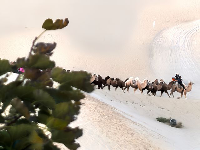 穿越自然四季，領略華夏文明——玉龍沙湖。