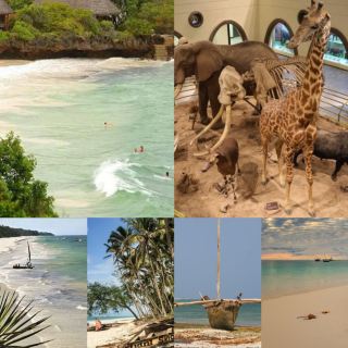 Diani Beach: A Two-Day Dreamy Adventure