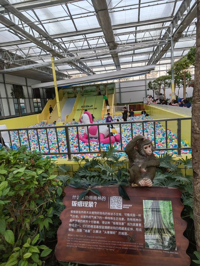 南宮五洲植物園——秋季親子遊好去處。
