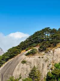 深秋黃山風情遊。