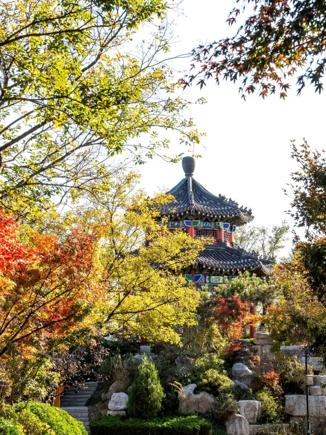 [Yantai Phoenix Mountain Park: A Great Place for Fall Hiking]