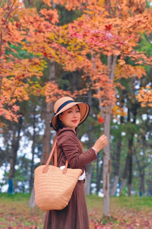 雁南公園 | 深秋初冬浪漫遊玩全攻略。