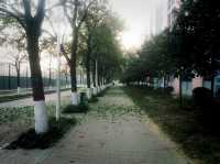Mesmerising Park of Zhengzhou University