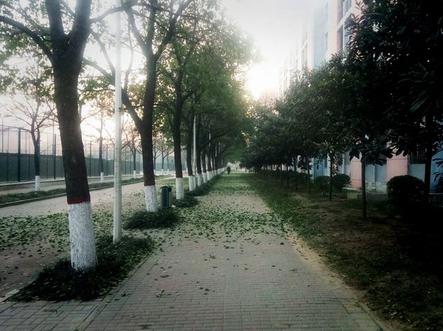 Mesmerising Park of Zhengzhou University