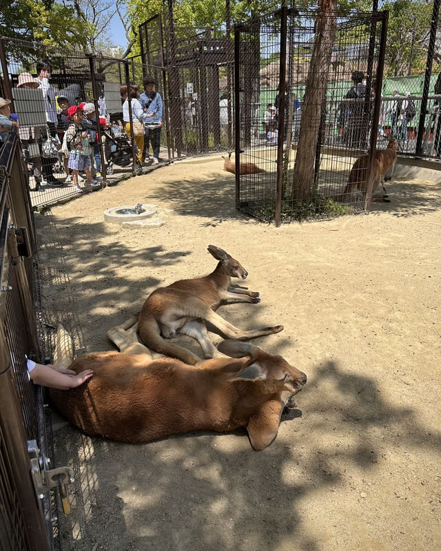 Nagoya Travel Guide: Higashiyama Zoo and Botanical Gardens