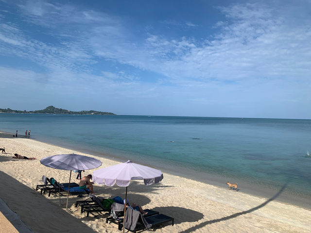 拉邁海灘上的秘密小天堂。