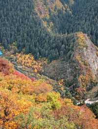 隴右名山蘭州興隆山 | 邂逅醉美秋色。