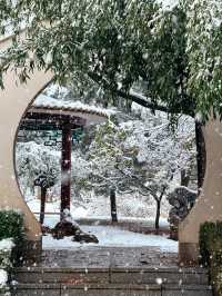 大連初雪絕美 勞動公園張張封神！