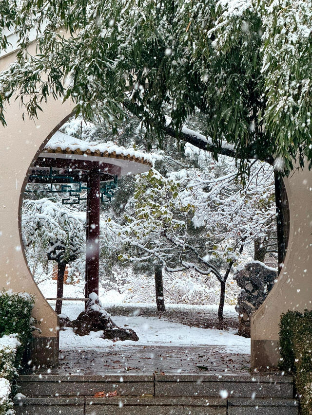大連初雪絕美 勞動公園張張封神！