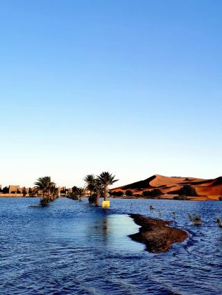 A comprehensive guide to visa-free travel to Morocco and other countries. 