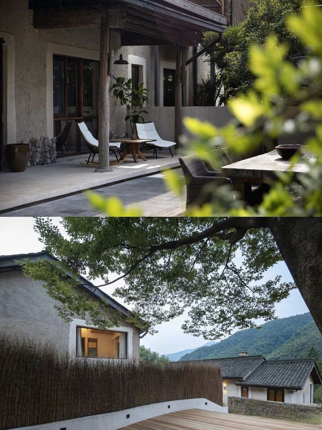 與森林的對話入住治癒系侘寂美學療癒民宿