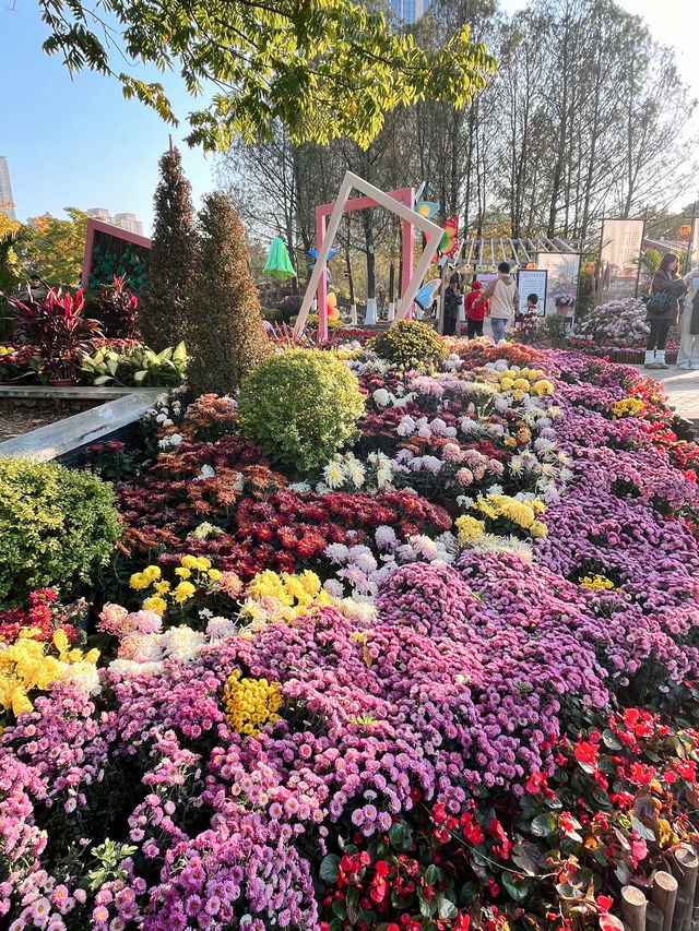 花開堪折直須折 | 武昌沙湖公園