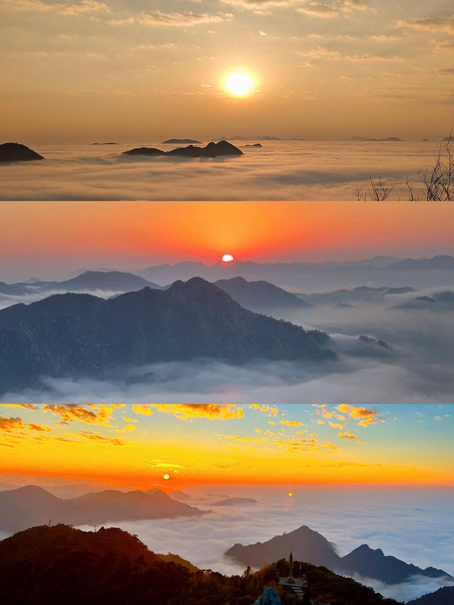 廣東人狂喜出發 3 小時到達看霧淞雲海美哭…