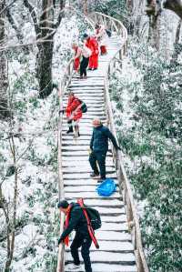 誰懂得！南方孩子看見雪的快樂！