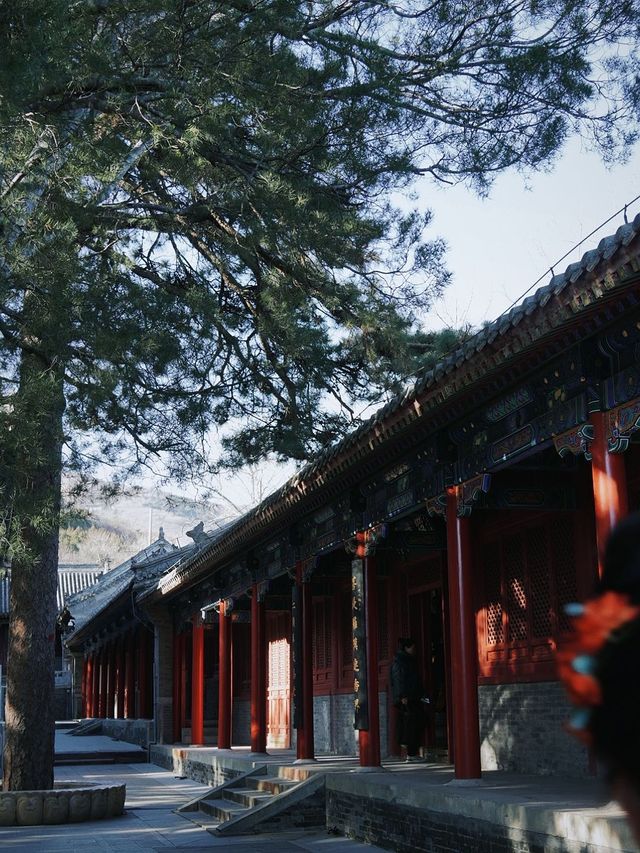 戒台寺 | 相隔6年，跨年敲鐘，來這裡就夠啦
