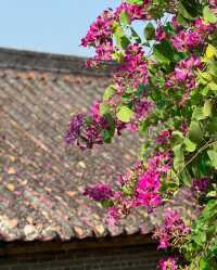長岐古村，時光裡的詩意畫卷