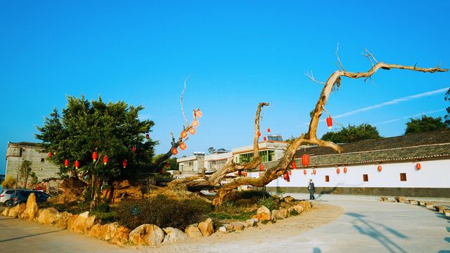 美麗鄉村 客家風情 融合美食 盡在韶關紅梨村