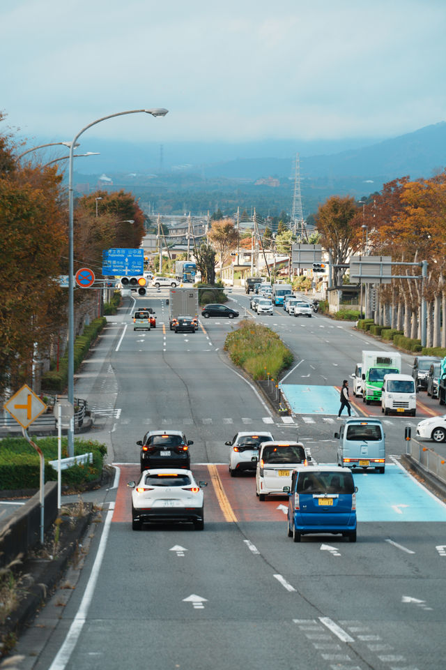 富士山下紅葉季