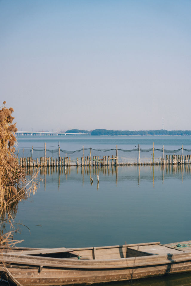 上海自駕1h｜「過氣」網紅原來這麼香