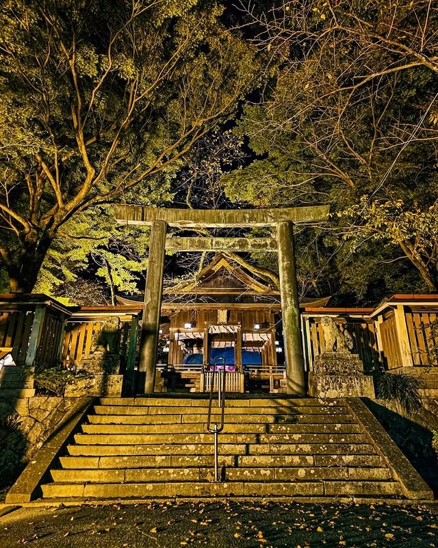 "金崎宮夜遊：燈影中的歷史與浪漫" 