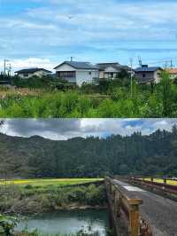 高知市：日本四國的寶藏小城