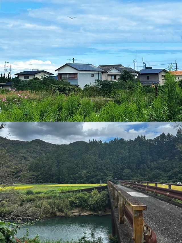 高知市：日本四國的寶藏小城