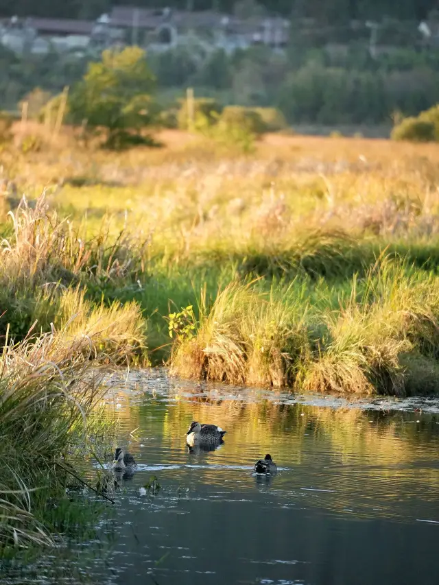 6日玩轉保山-德宏超詳細行程攻略速覽
