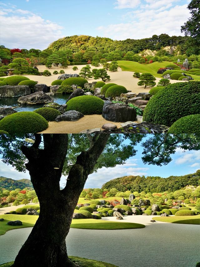 日本•島根縣｜由志園、足立美術館