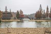 綠色濕地青西郊野公園